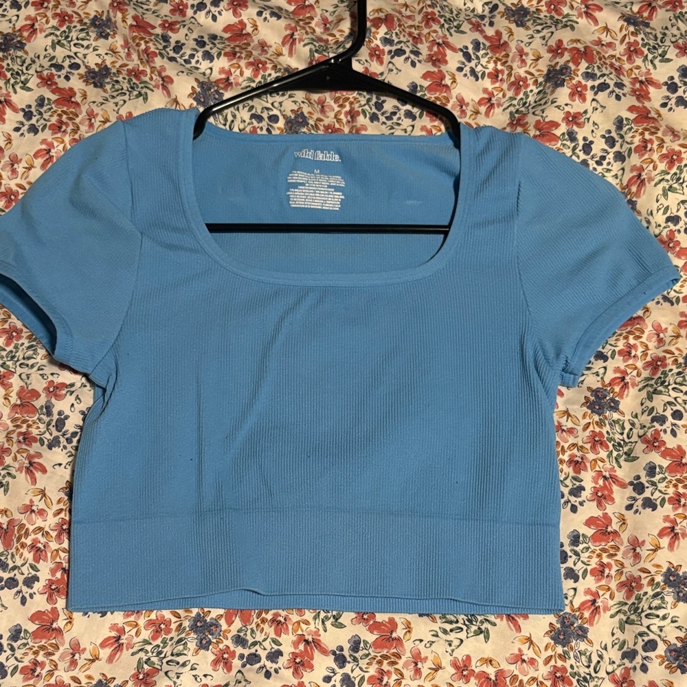 Wild Fable Sky Blue Crop Top